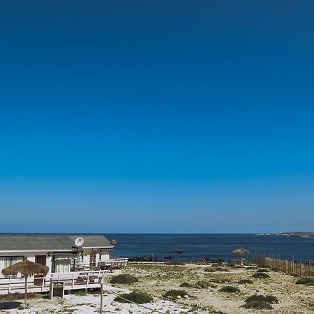 Refugio Humboldt Villa Punta de Choros Dış mekan fotoğraf