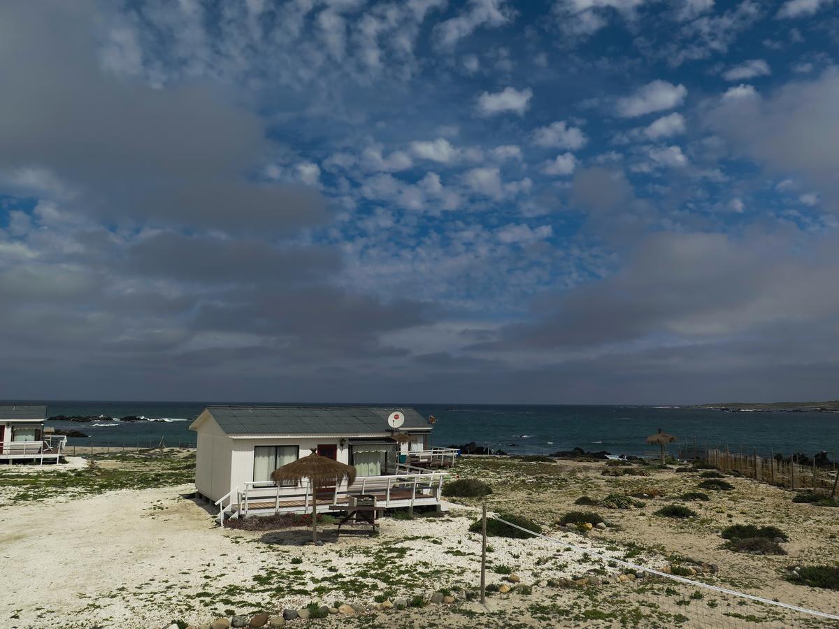 Refugio Humboldt Villa Punta de Choros Dış mekan fotoğraf