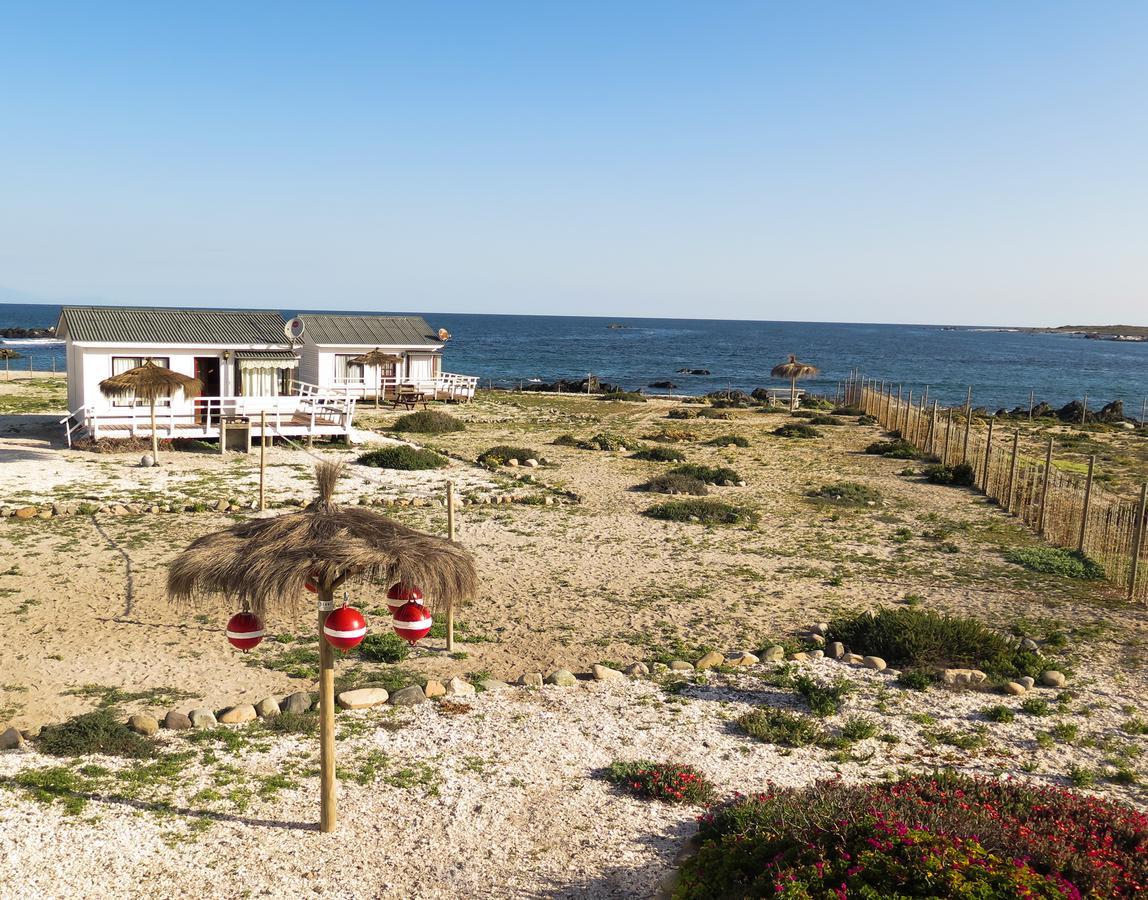 Refugio Humboldt Villa Punta de Choros Dış mekan fotoğraf